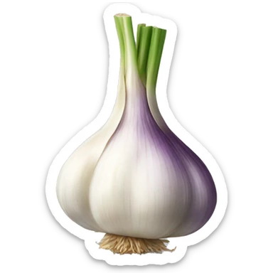 garlic sticker