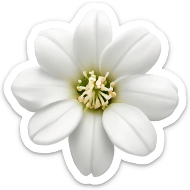 White Sping flower sticker