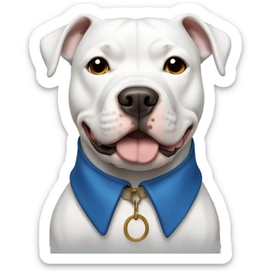 White pitbull with brown eyes and black ears wearing a blue collar sticker