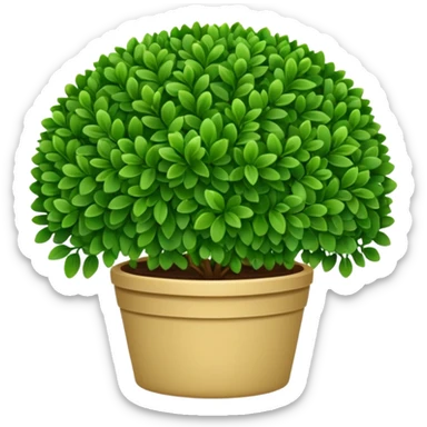 Boxwood sticker