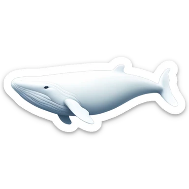 white whale , underside sticker