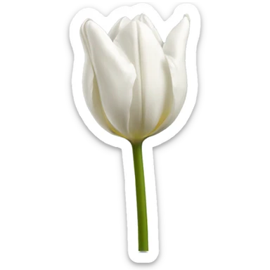 Tulipanes blancos  sticker