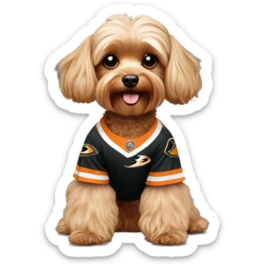Yorkie-poodle wearing an Anaheim ducks jersey sticker