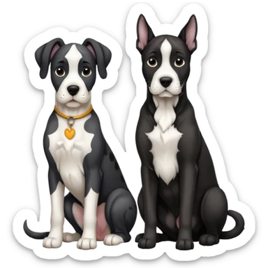Adult Black and white great dane dog with cropped ears sitting with a small black and white cat sticker