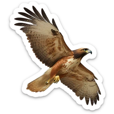 Red tailed hawk sticker