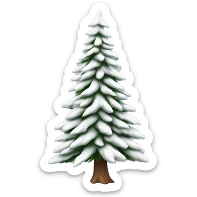  actual white fir christmas tree isolated.  sticker