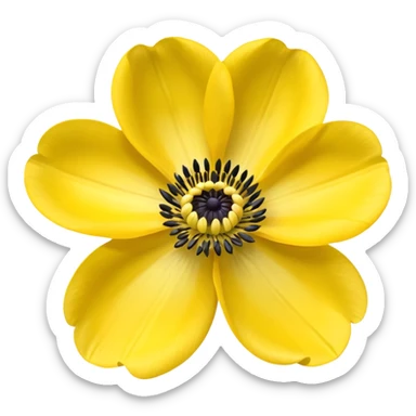 Anemone yellow 5 adet yaprak sticker