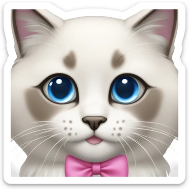 Ragdoll cat with blue eyes and a pink bow as a collar sticker