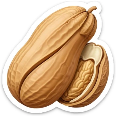 cartoon peanut with shell sticker