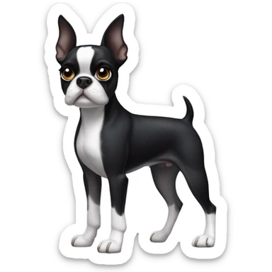 Black and white Boston terrier sticker
