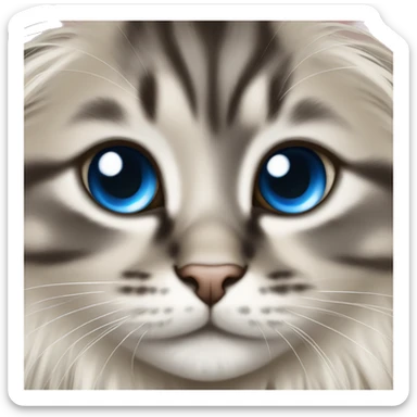 A domestic long hair kitten with super round and big blue eyes sticker