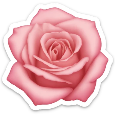 Rose fionka sticker