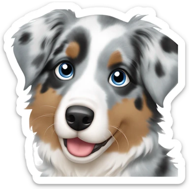 Australian shepherd blue Merle puppy sticker