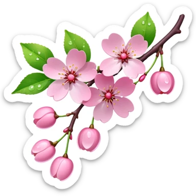 Realistic cherry blossoms, on a vine, with dew drops, high definition,  sticker