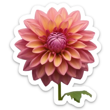 dahlia flower sticker