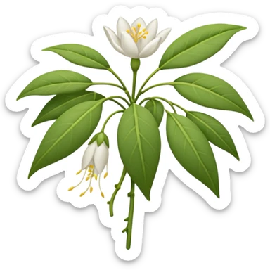 wilted jasmine emoji sticker