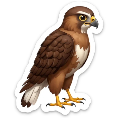 Create a single emoji of a Hawk in full body, shown at a slight side angle in a natural, characteristic pose. Cute and stylized like an emoji, but clearly recognizable.
 sticker
