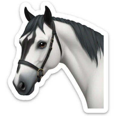 Black horse  sticker