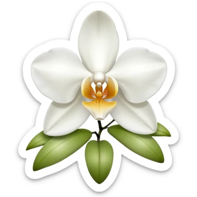 white orchids sticker