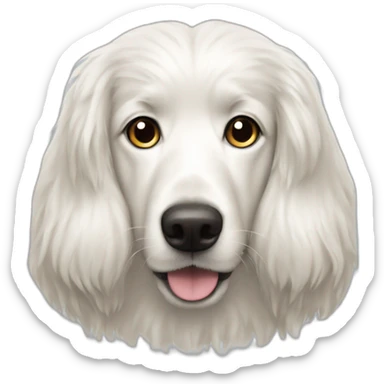 Long-haired white dog with shorter ears sticker