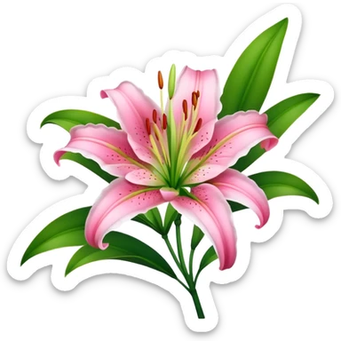 Beautiful pink lily flower with green stem and leaves sticker