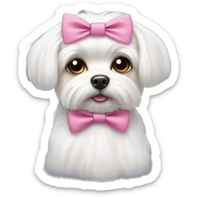 white maltese with pink bow tie  sticker