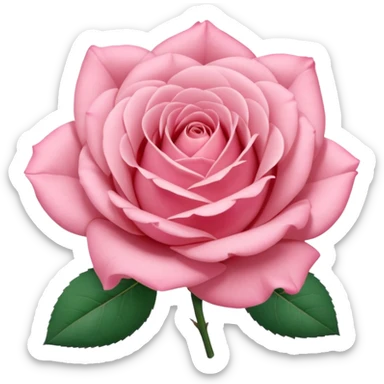 “A Polaroid photo of a pink rose  sticker