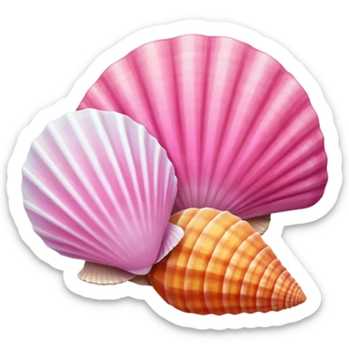 Seashells with pink  sticker
