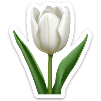 white tulips sticker