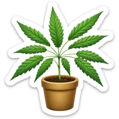 marijuana sticker