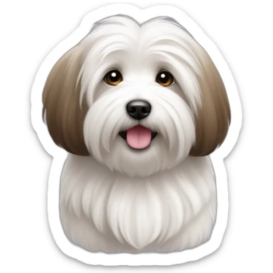 Coton de tulear avec oreille brune sticker