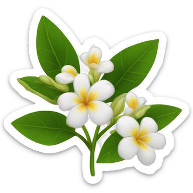 3 jasmins flowers with leafs sticker