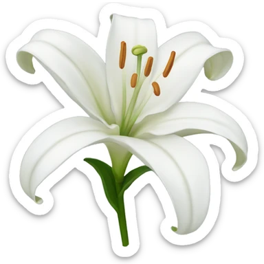 White lily  sticker