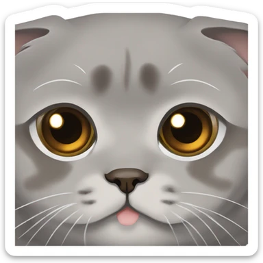 Grey Scottish fold with brown eyes  sticker