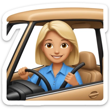 person driving a car sticker
