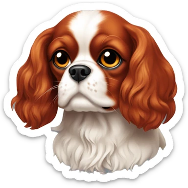 All red cavalier king charles spaniel no white fur ruby sticker