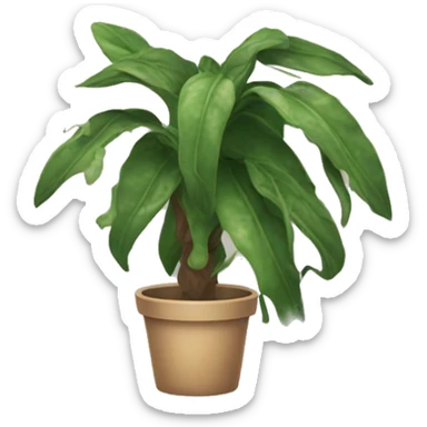 dead dried out houseplant  sticker