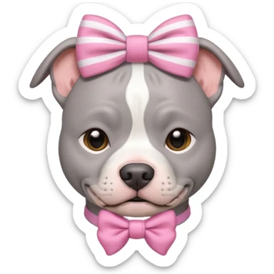 Fully Gray Pitbull with a white stripe on his head and a pink bow sticker