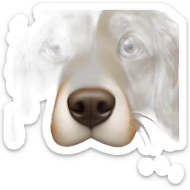 a golden retriever with light brown eyes, she was white with red highlights with long hair with a small brown nose sticker