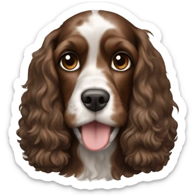 black white and brown cocker spaniel mixed with cavapoo sticker