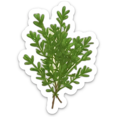 thyme sticker