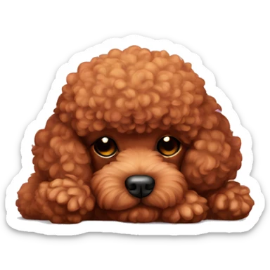 red toy poodle sleep sticker
