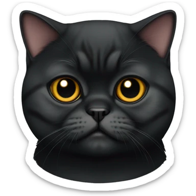 Full Black exotic shorthair cat sticker
