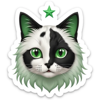 black and white long hair cat. green eyes. black nose. black splotch in the shape of a star near nose (on the right side). white chest. sticker