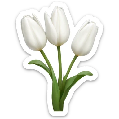 white tulips sticker