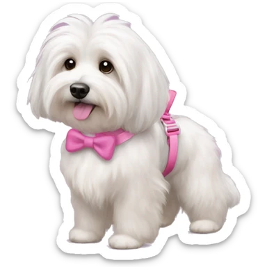 Long haired Coton de Tulear dog with pink harness and pink hair bow, pink dog bed, her name is Zoey sticker