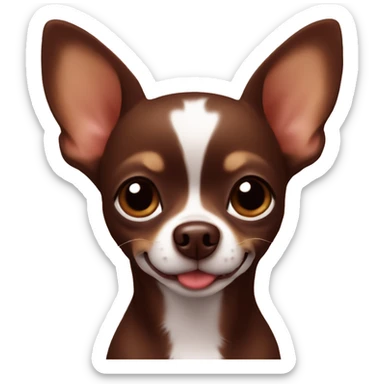 Chocolate brown chihuahua with heart sticker