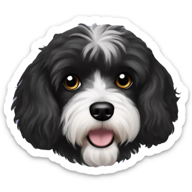 Black coloured dog bichon havanese black eyes sticker