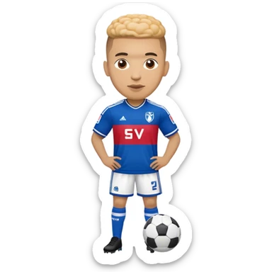 Hamburger SV sticker