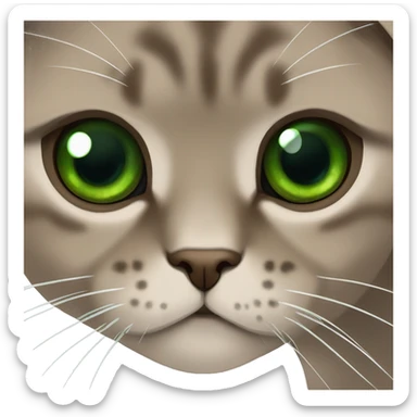 Brown scottish fold with green eyes  sticker